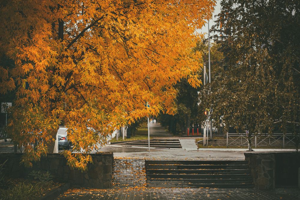 Photograph by Елена Власова