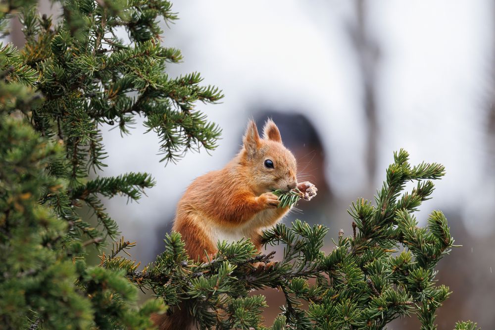 Photograph by Валентин Колинько
