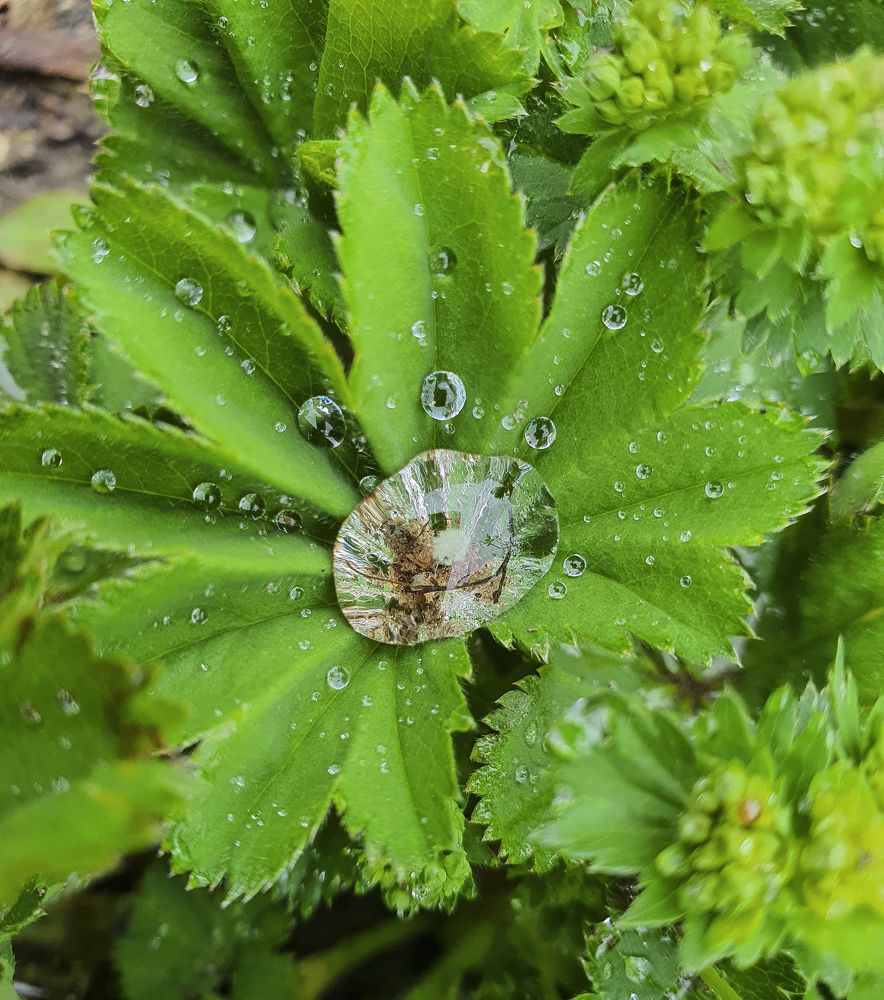 Photograph by Валентин Колинько