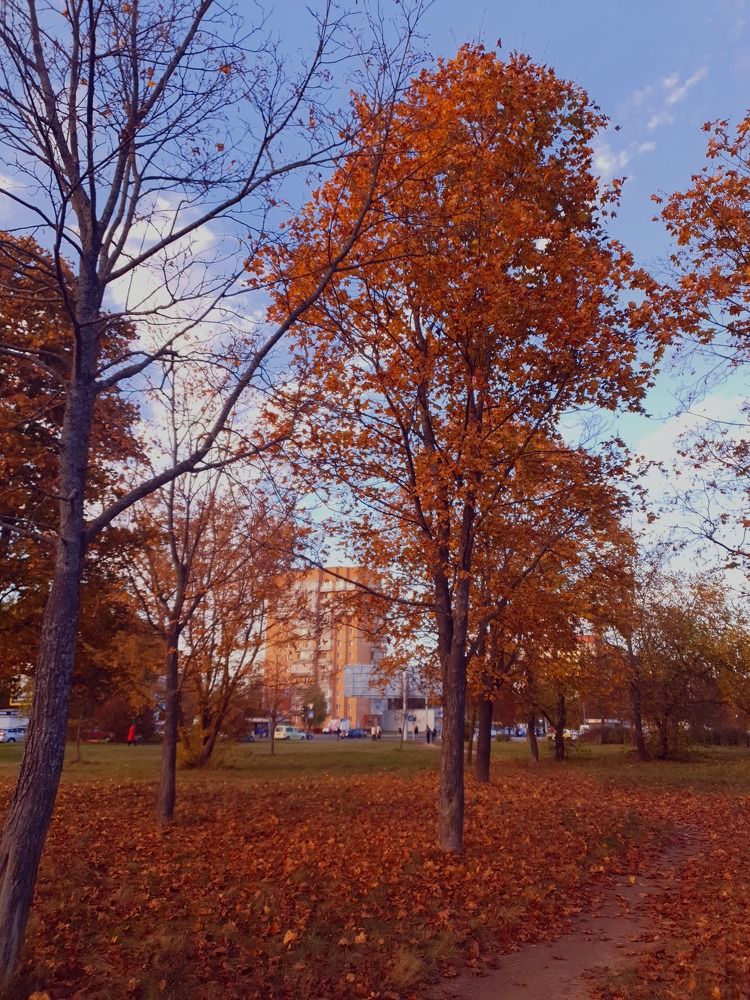 Photograph by Сергей Баранов