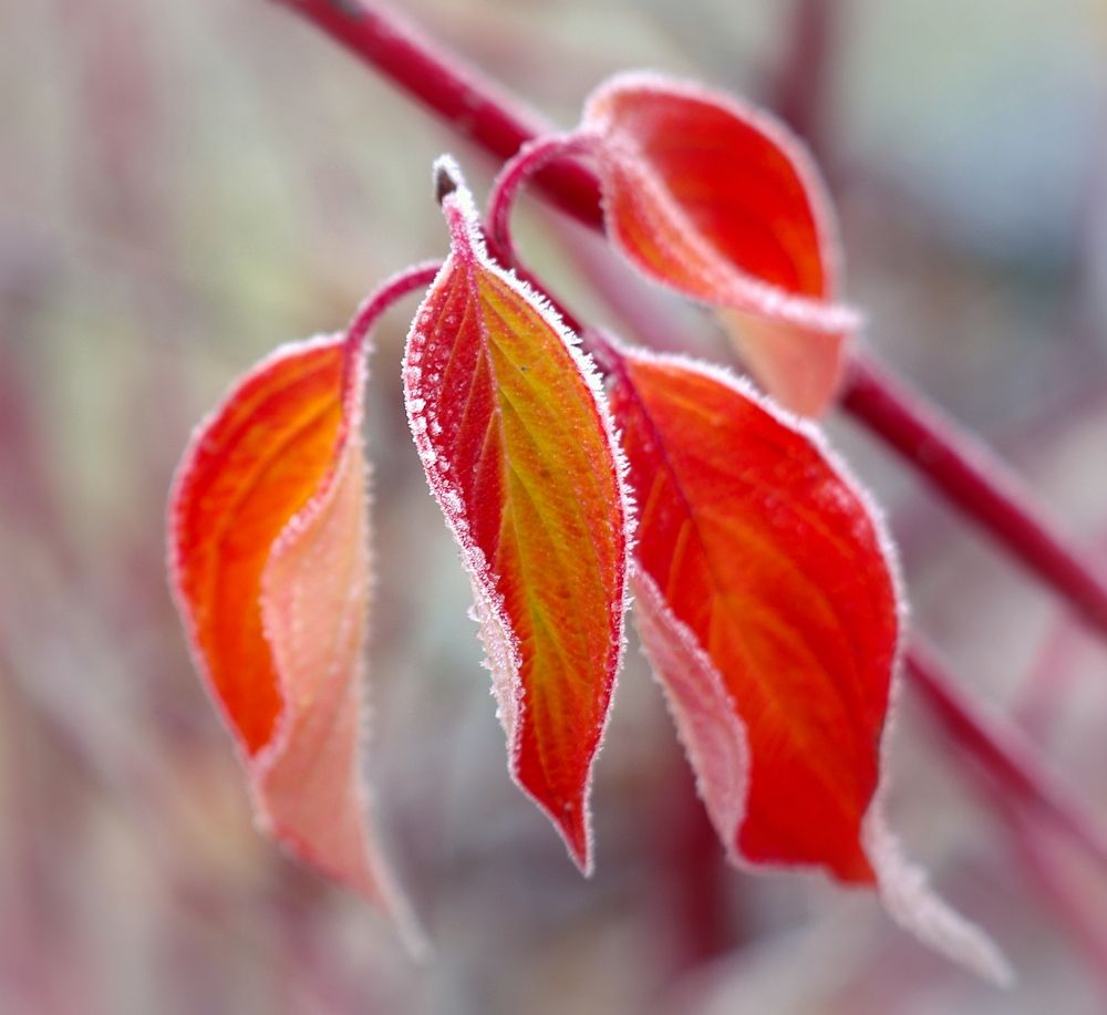 Photograph by Сергей Шляга