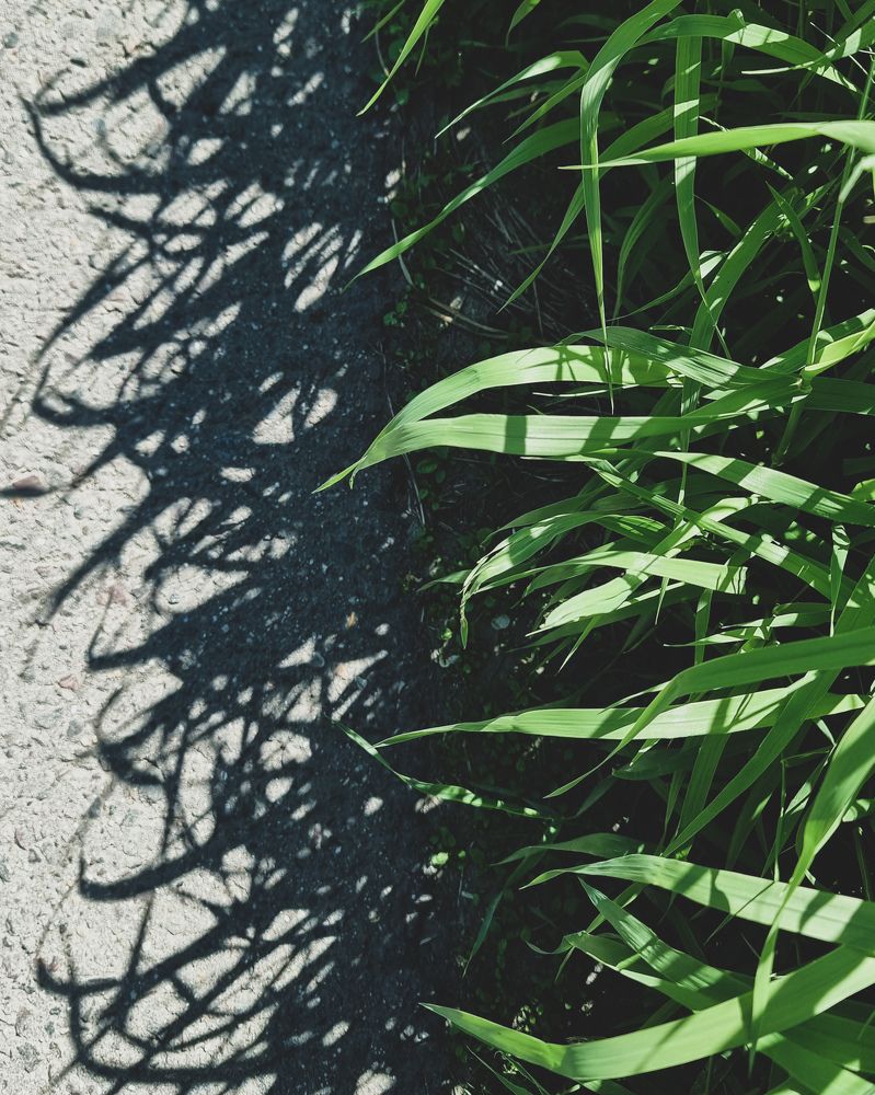 Photograph by Женя Жданова