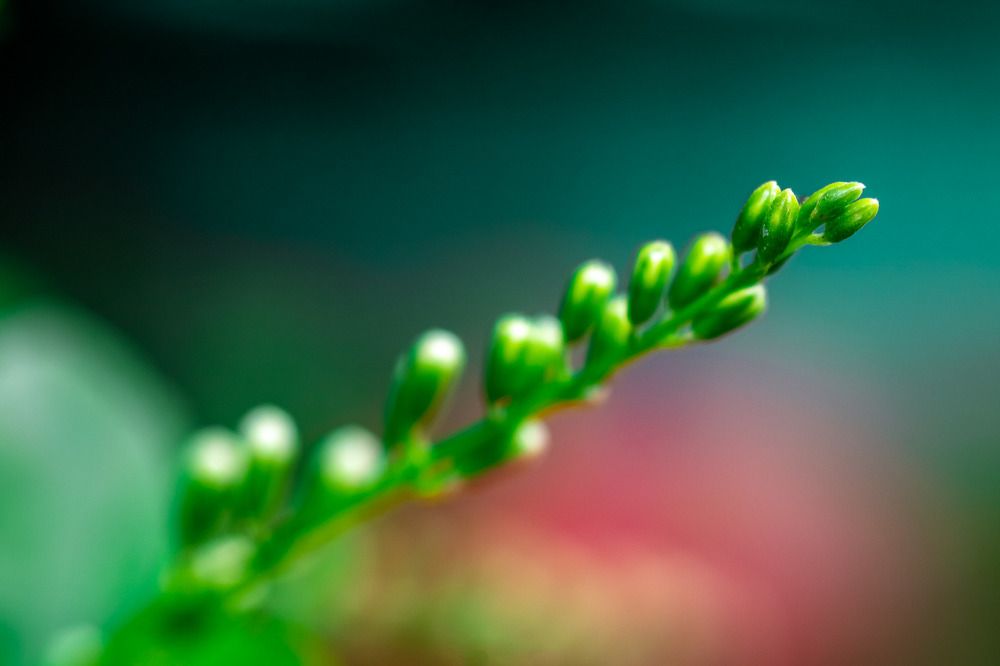 Фотография автора Andy Nguyen