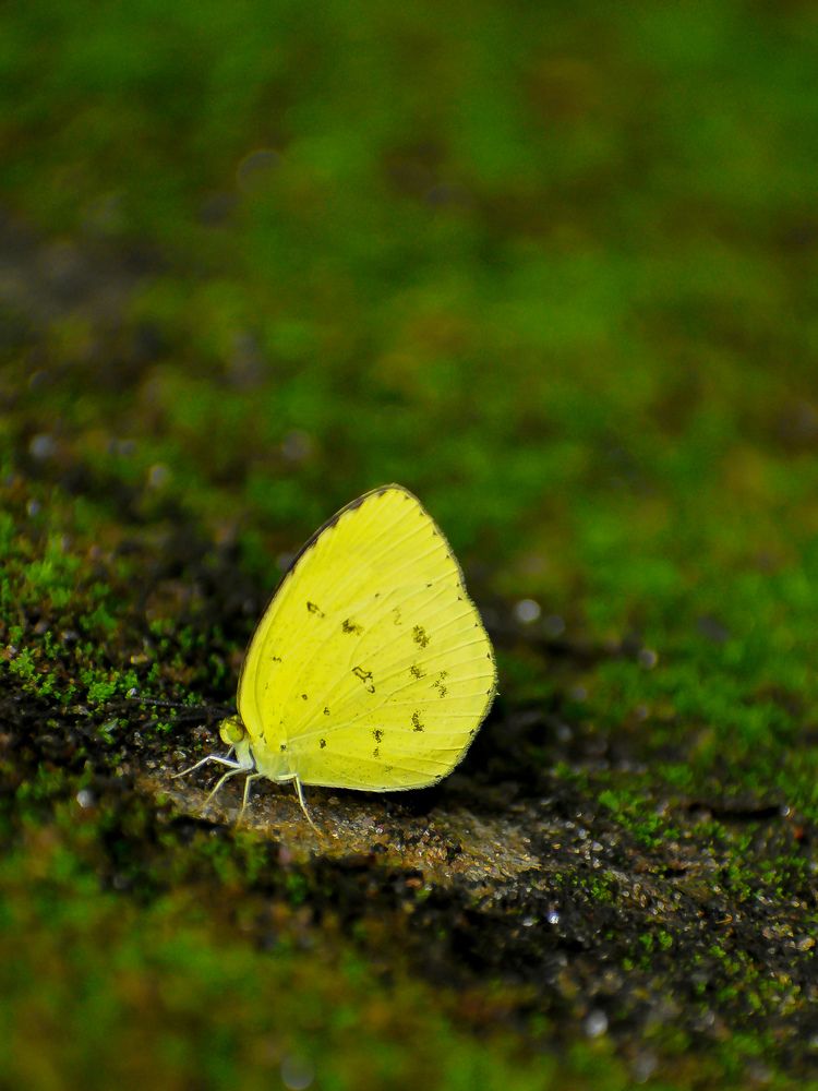 Photograph by Bhanupriya Marke