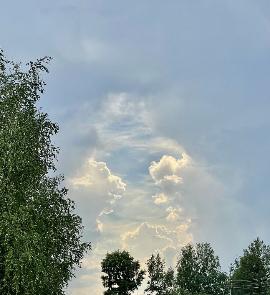 Photograph by Светлана Хохлова