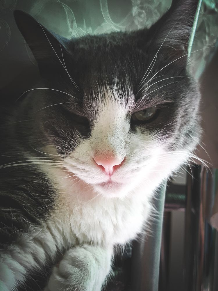 Photograph by Марина Шаповаленко