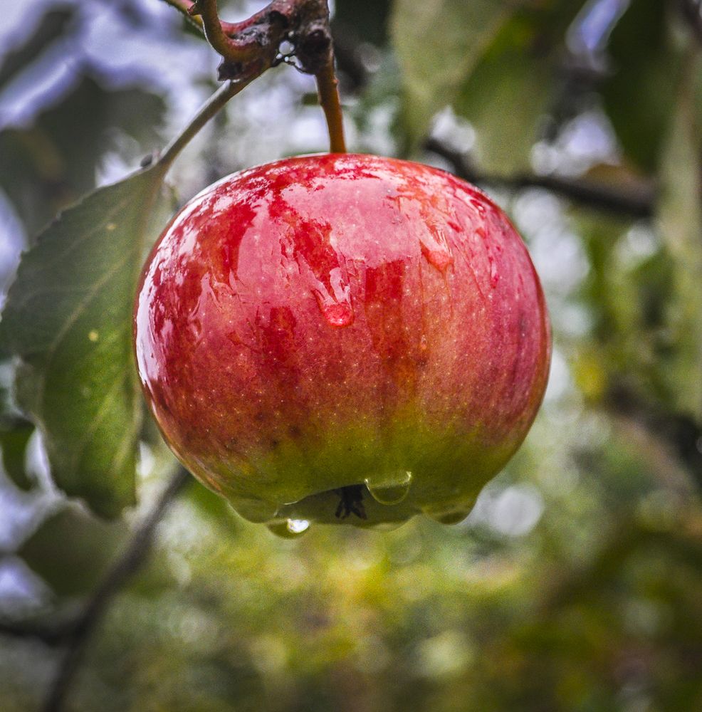 Photograph by Валерий Рябцев