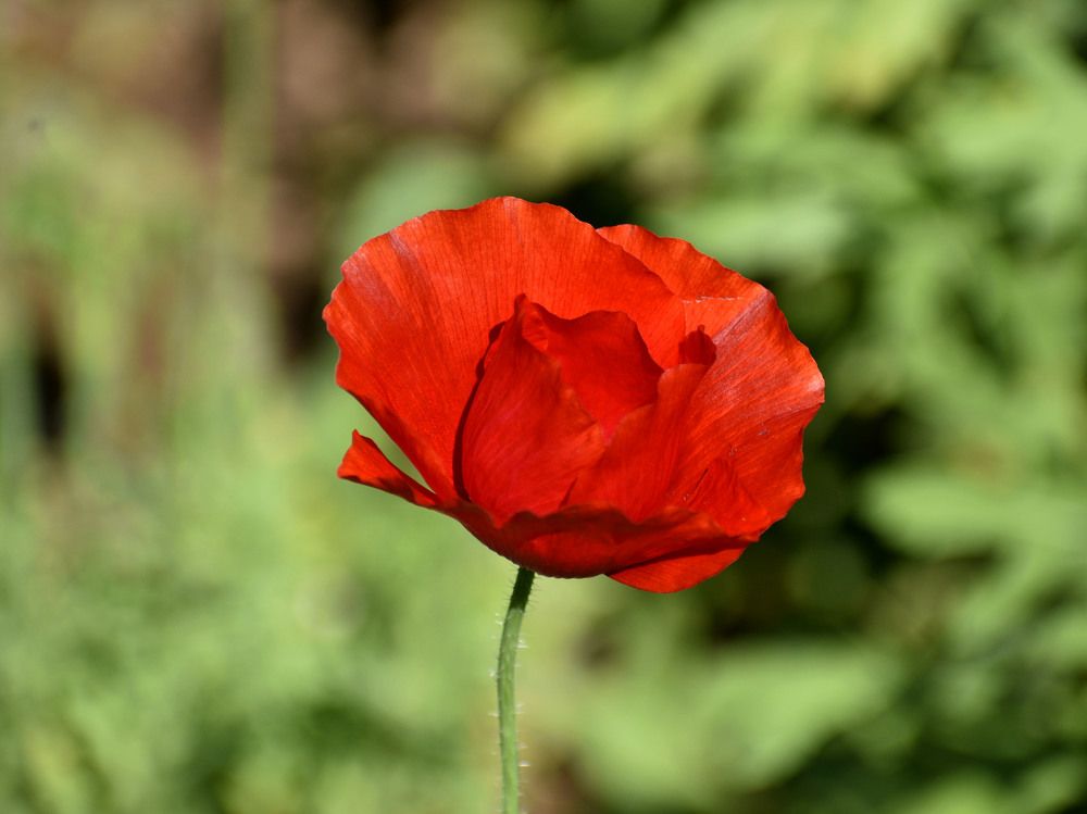 Photograph by Bhanupriya Marke