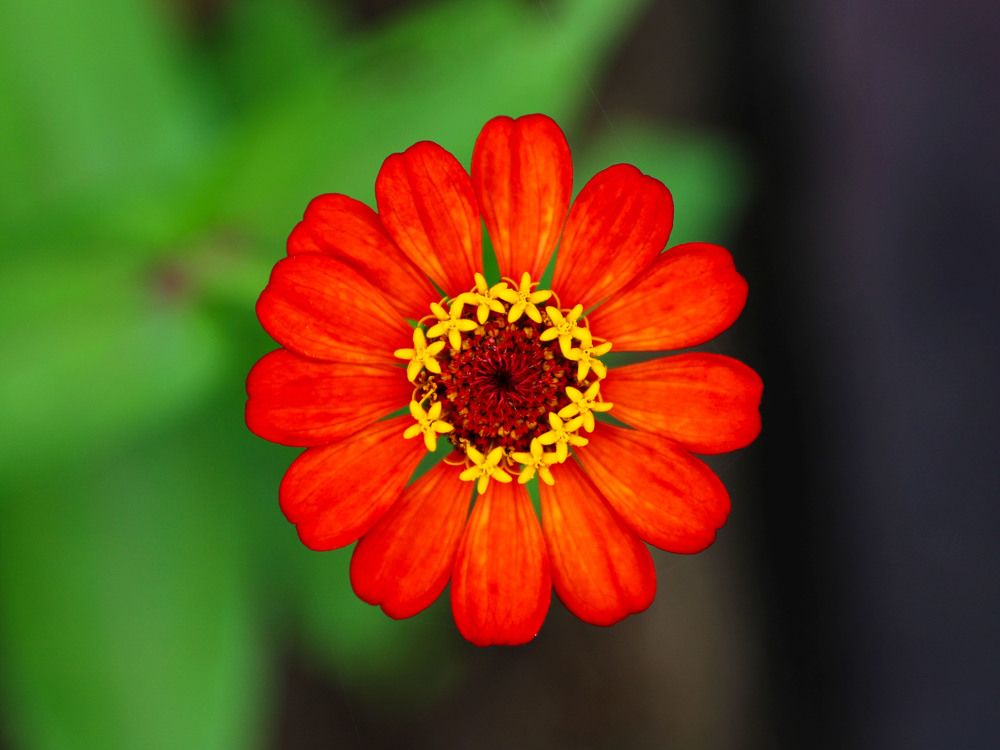 Photograph by Bhanupriya Marke