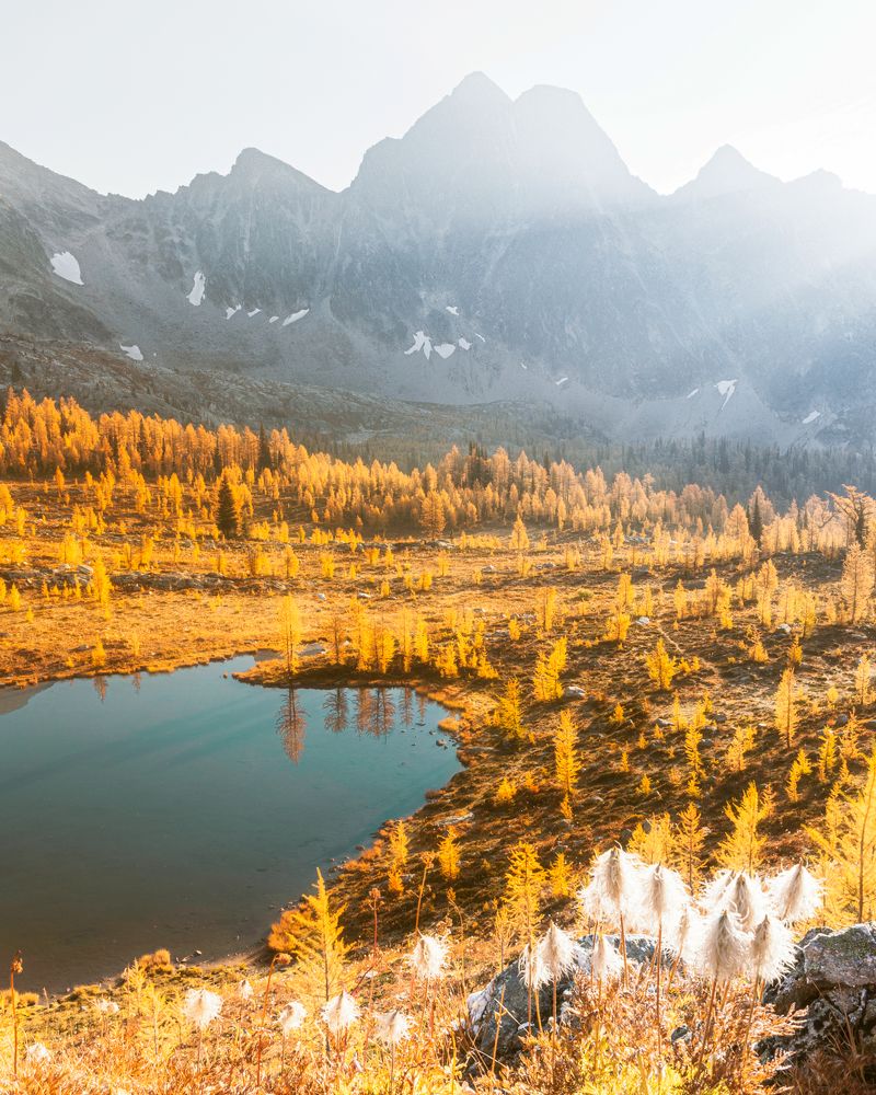 Morning at larch valley