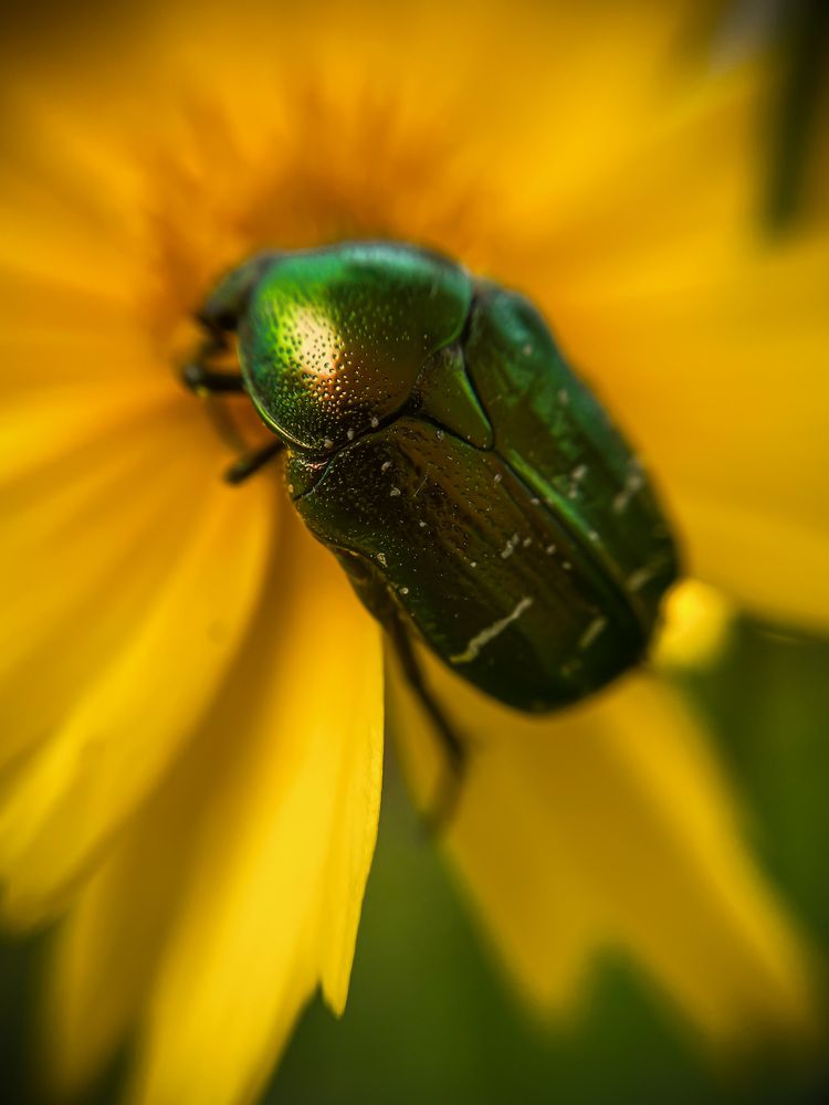 Photograph by Марина Тверитнева