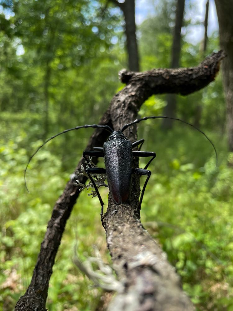 Photograph by Марина Тверитнева