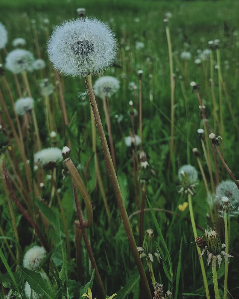 Photograph by Женя Жданова