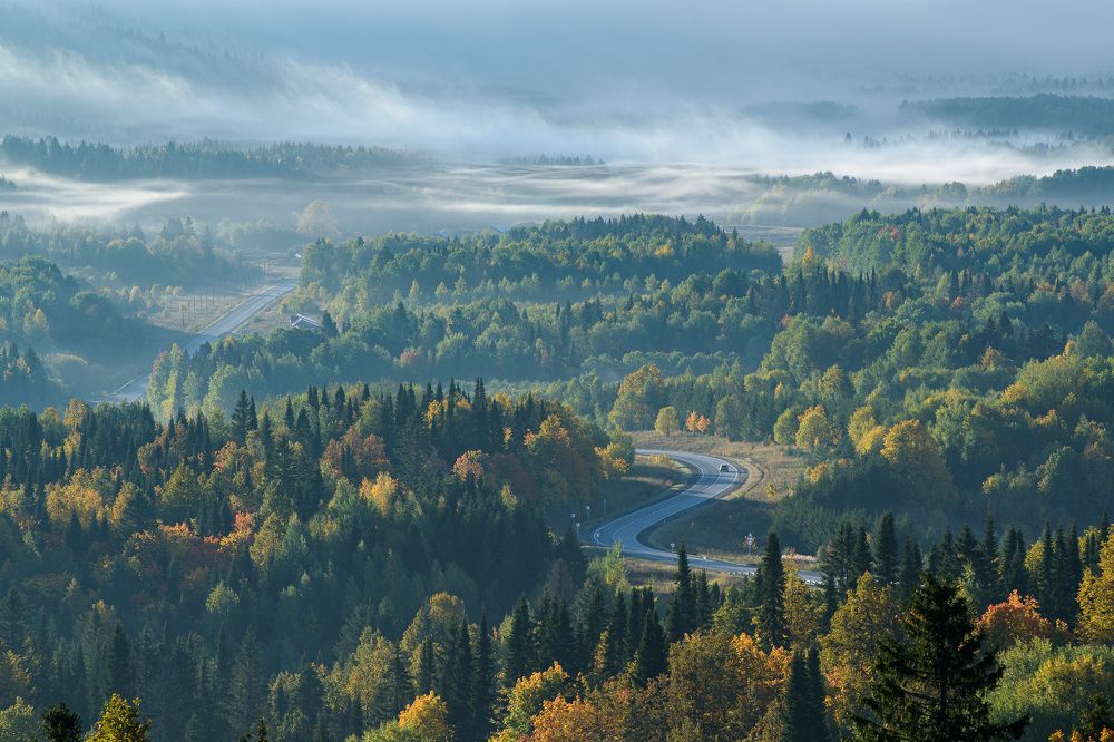 Photograph by Леонид Синев