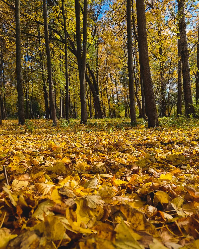 Photograph by Женя Жданова