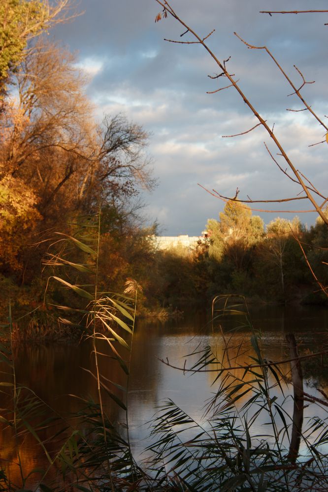 Photograph by Нелли