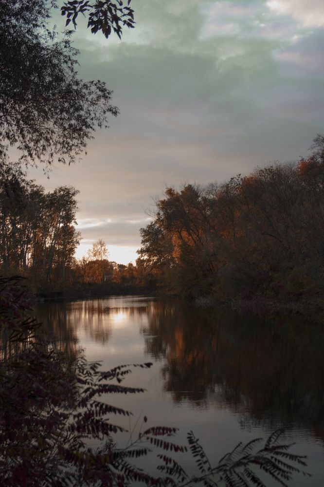 Photograph by Нелли