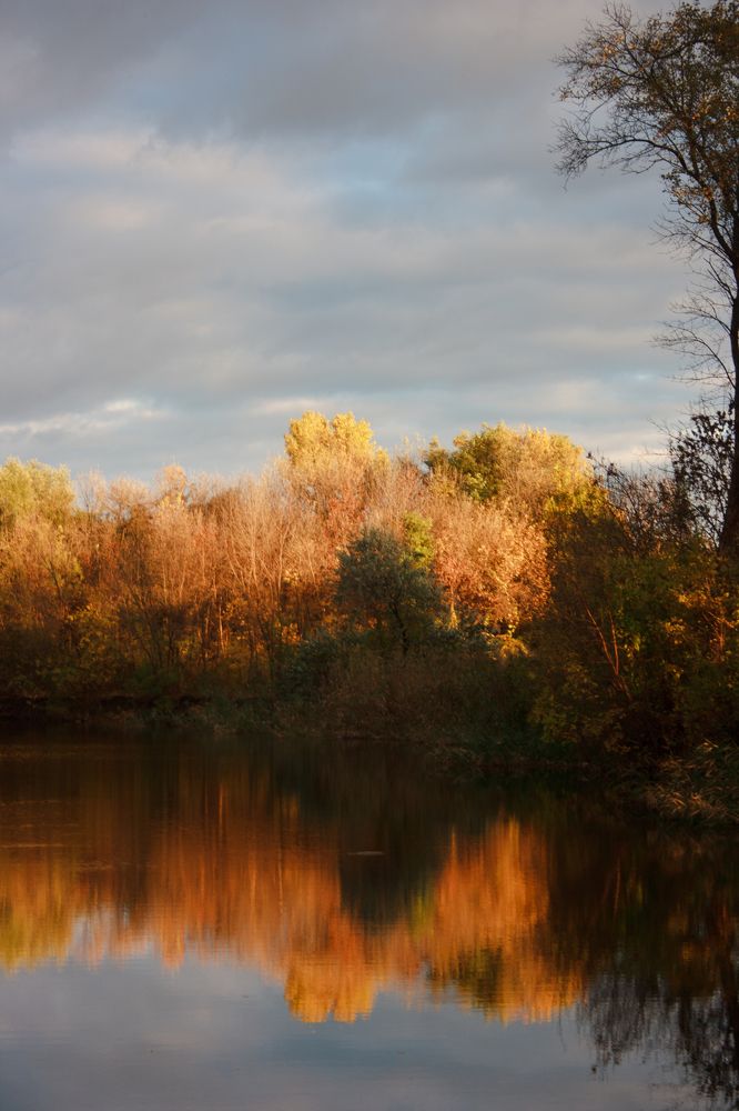 Photograph by Нелли