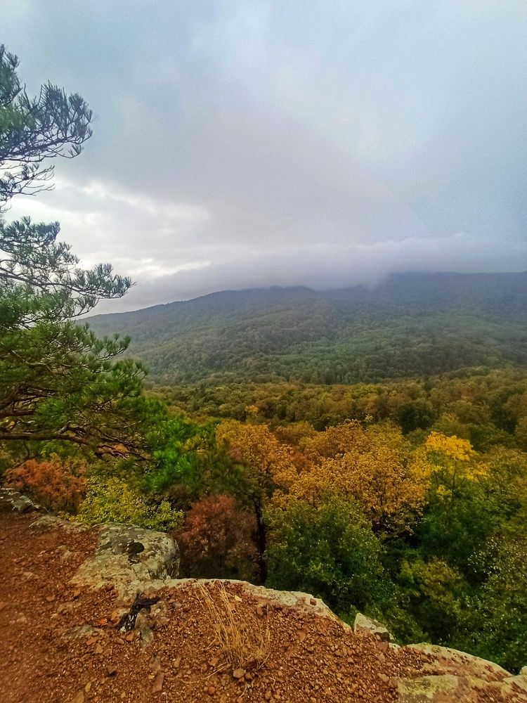 Photograph by Долгушева Татьяна