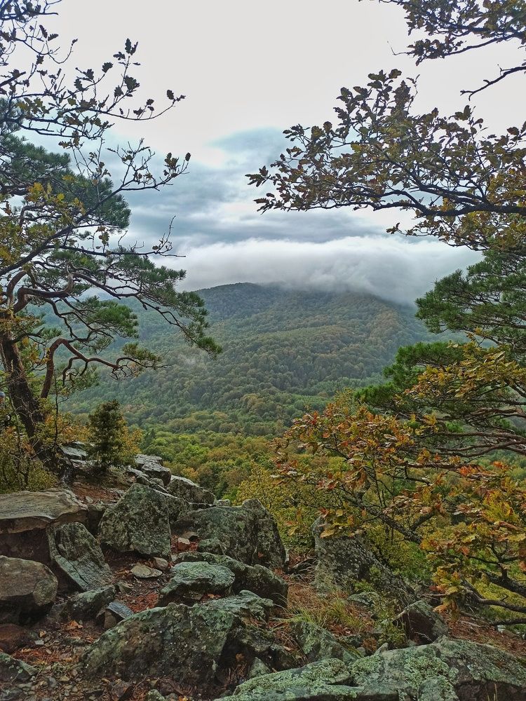 Photograph by Долгушева Татьяна