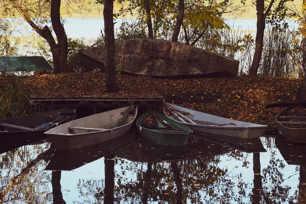 Photograph by Елена Квасова