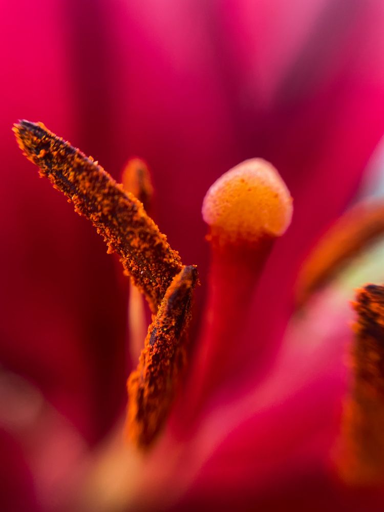 Photograph by Марина Тверитнева