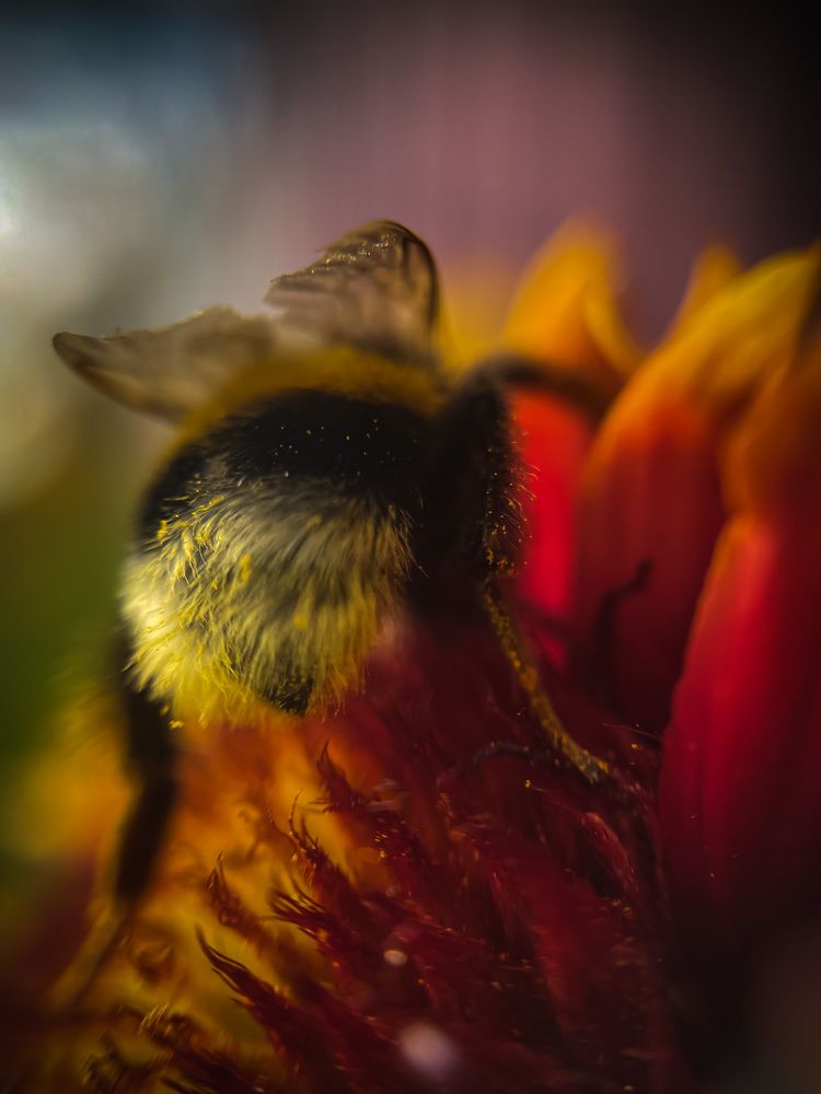 Photograph by Марина Тверитнева