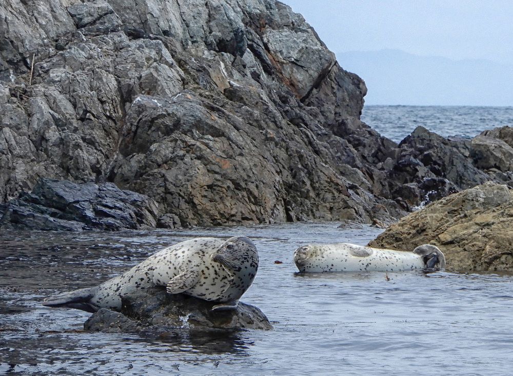 Photograph by София Гавриловна Вотякова