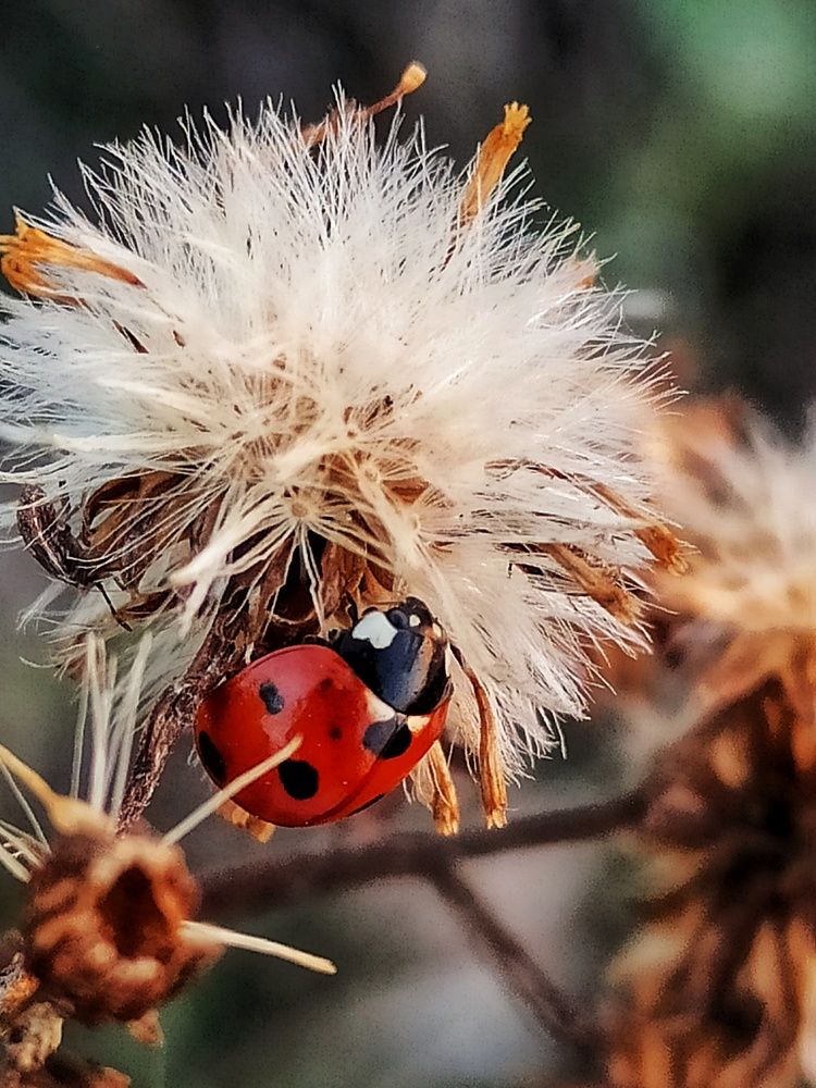 Photograph by Долгушева Татьяна