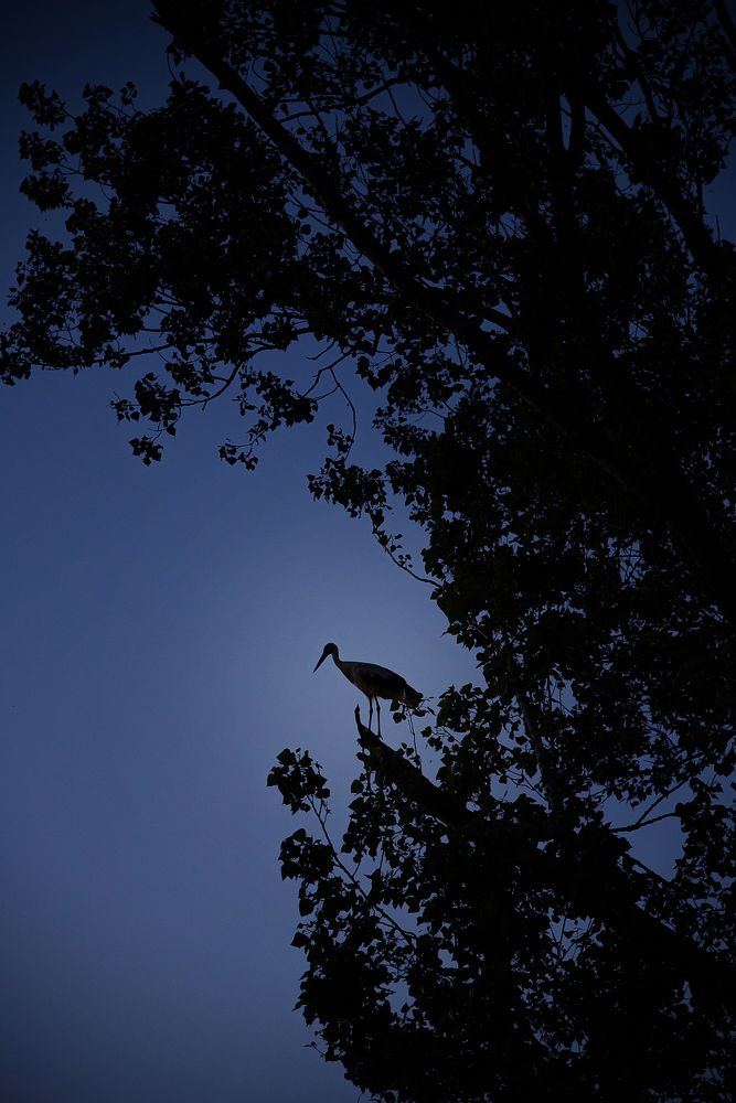 Photograph by Мария Купревич