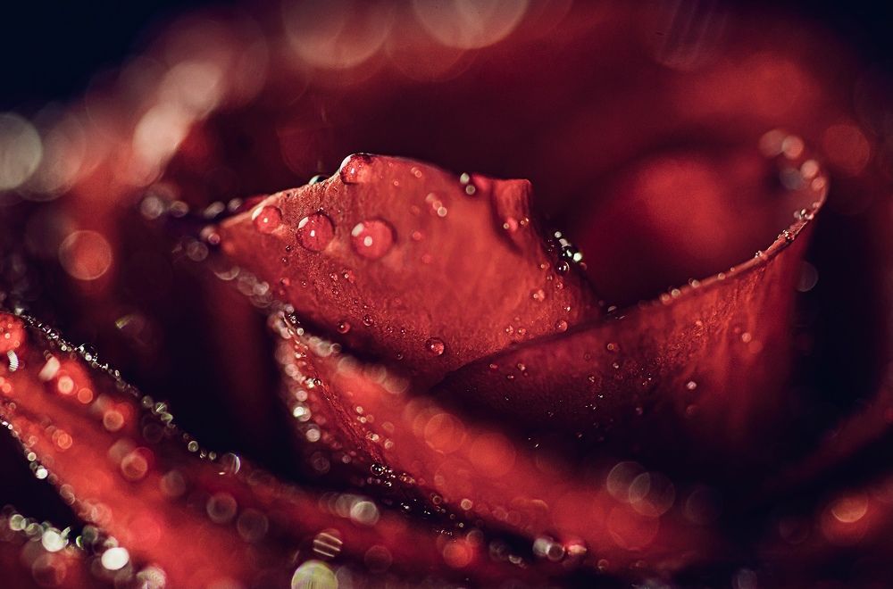 Фотография автора Helena