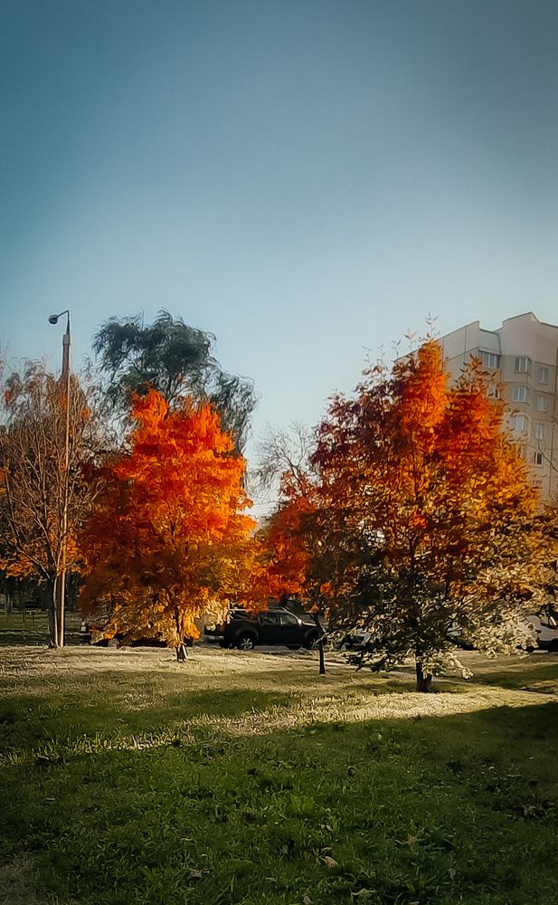 Photograph by Вероника Белько