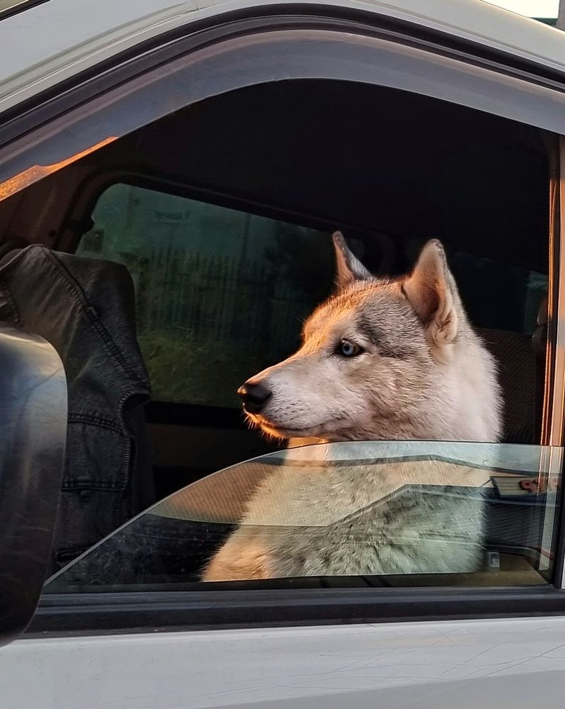 Photograph by Гельфман Галина