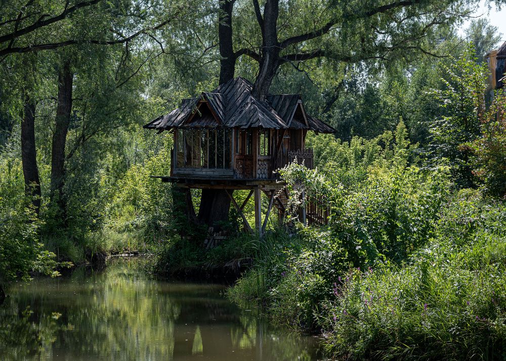 Photograph by Жанна Агафонова