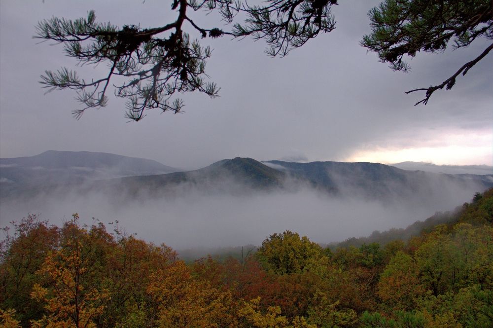Фотография автора Таня Долгушева