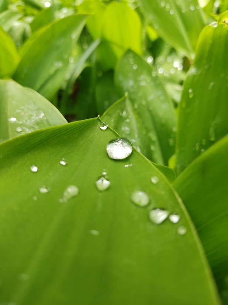 Photograph by Иван