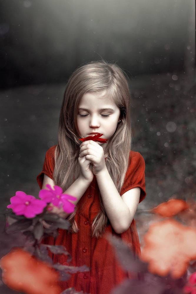 Фотография автора Marcia Martins