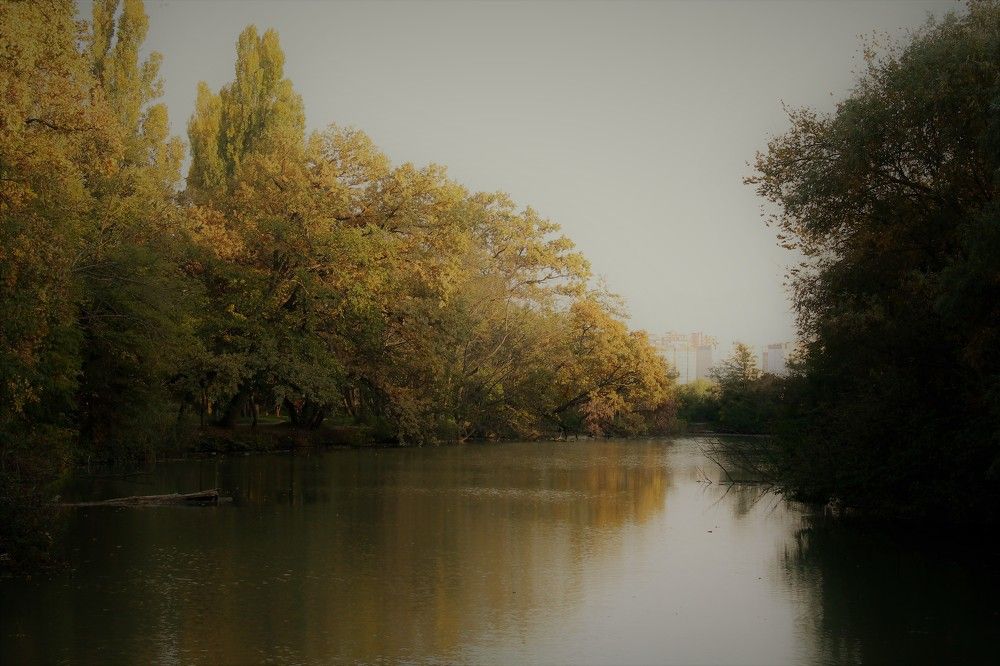 Фотография автора Таня Долгушева