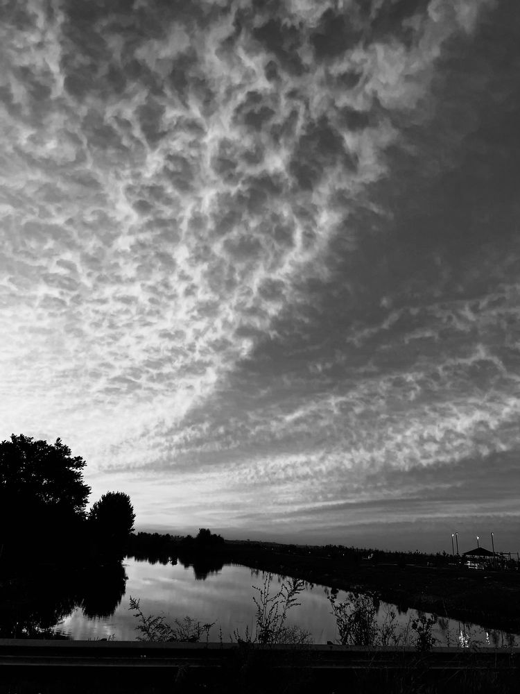 Photograph by Anna Freedman