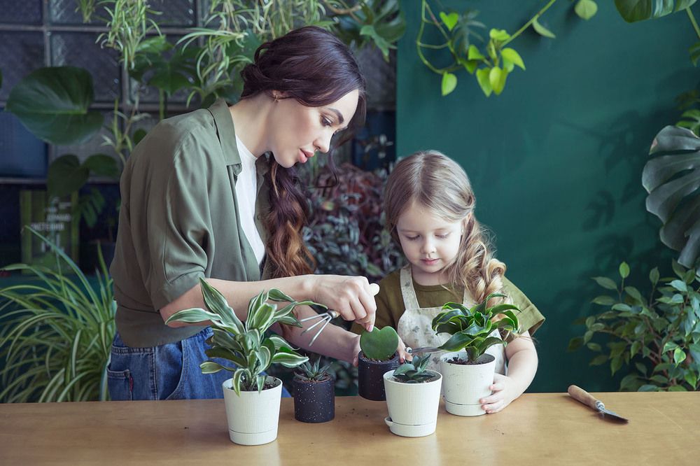 Урок садоводства