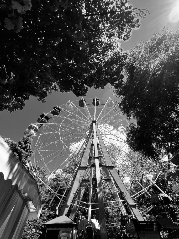 Photograph by Anna Freedman