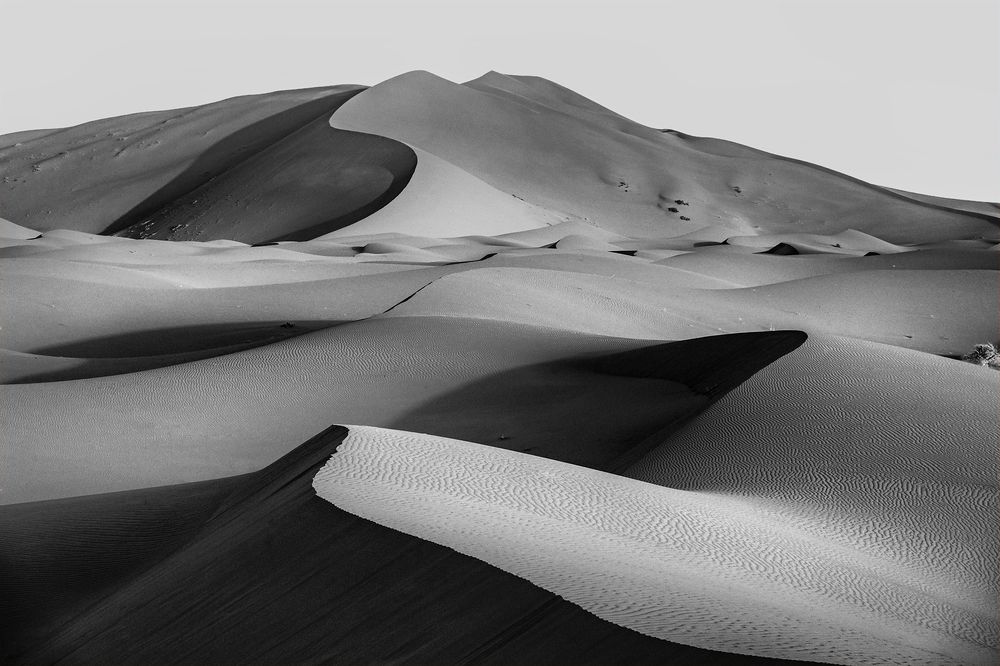 Desert curves