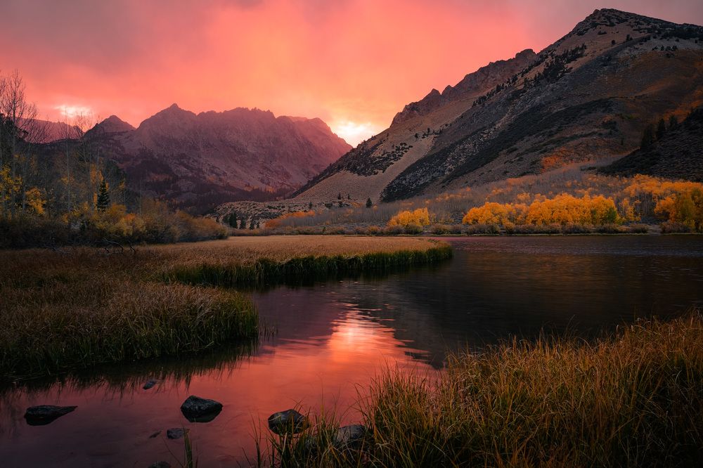 Фотография автора Robert Welsted