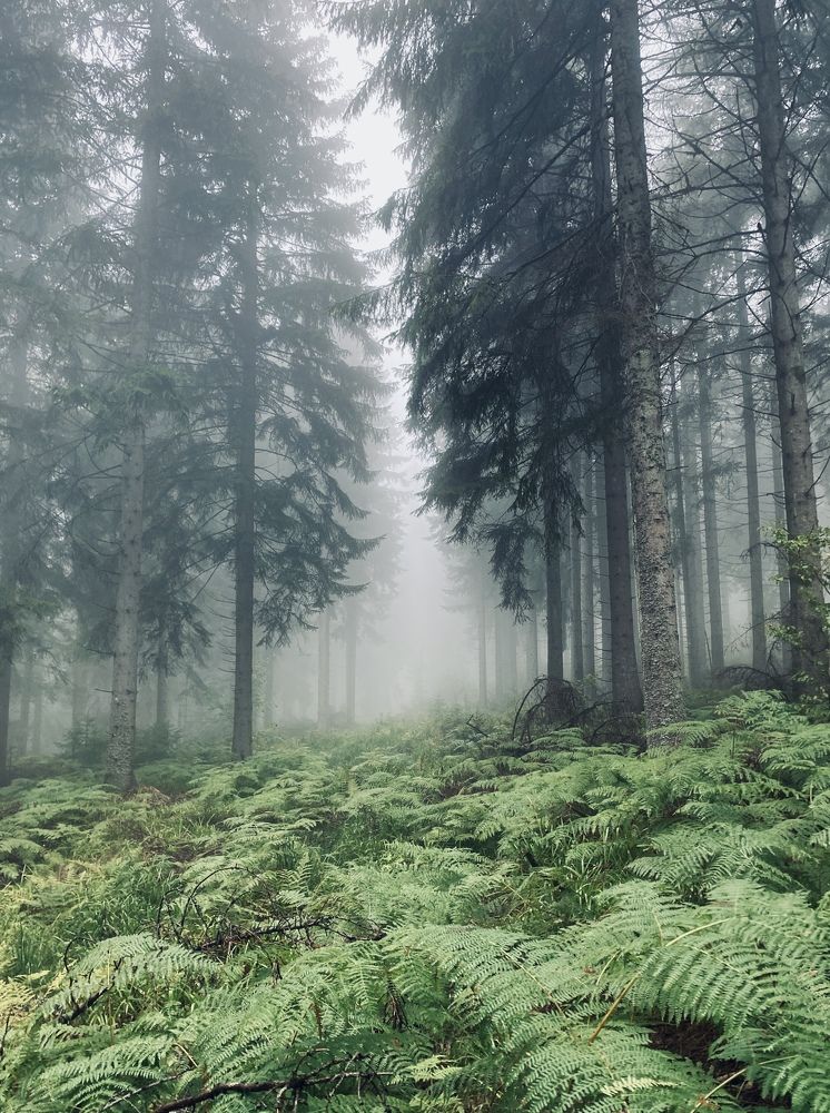 Photograph by Наталья Посашко