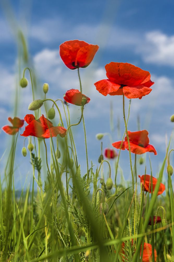 Photograph by Анна Кривицкая