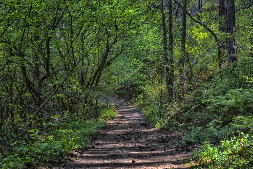 Photograph by Анна Кривицкая