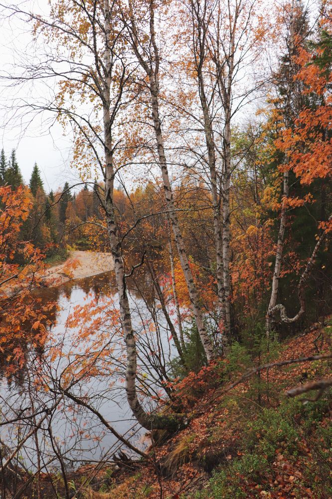 Photograph by Екатерина Михеева