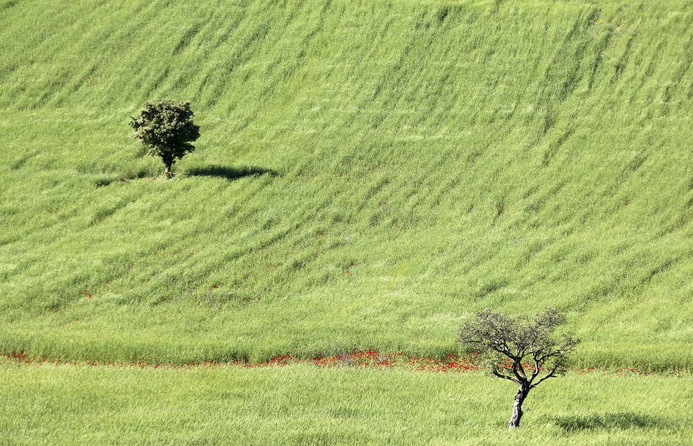 Фотография автора Ghadir Vaghari