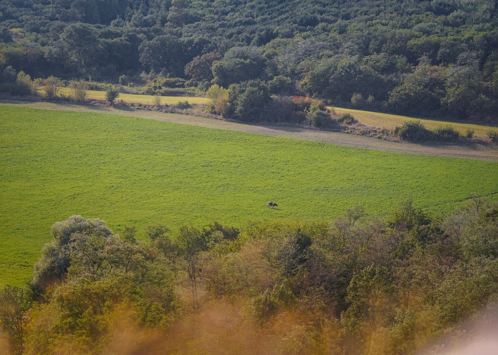 Фотография автора Михайленко Алина