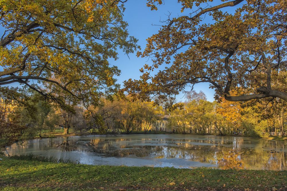Photograph by Анна Кривицкая